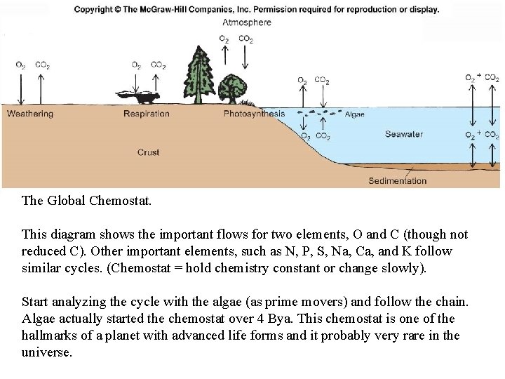 Fig. 6. 15 The Global Chemostat. This diagram shows the important flows for two