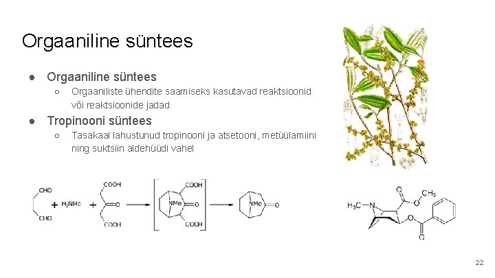 Orgaaniline süntees ● Orgaaniline süntees ○ Orgaaniliste ühendite saamiseks kasutavad reaktsioonid või reaktsioonide jadad