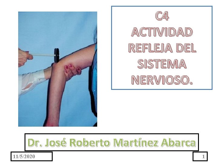 C 4 ACTIVIDAD REFLEJA DEL SISTEMA NERVIOSO. Dr. José Roberto Martínez Abarca 11/5/2020 1