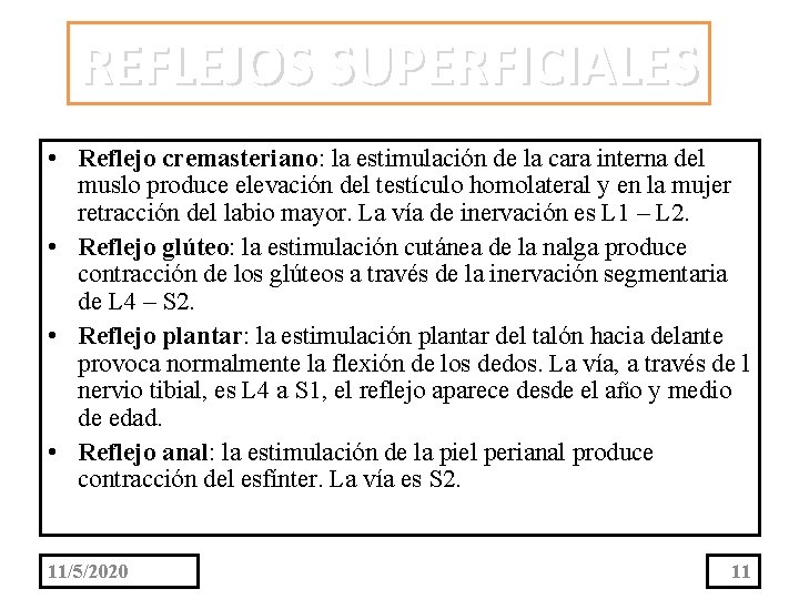 REFLEJOS SUPERFICIALES • Reflejo cremasteriano: la estimulación de la cara interna del muslo produce