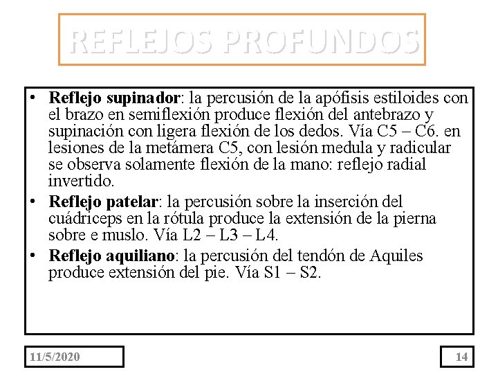 REFLEJOS PROFUNDOS • Reflejo supinador: la percusión de la apófisis estiloides con el brazo