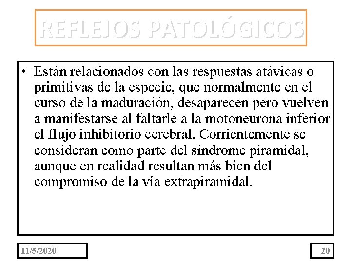 REFLEJOS PATOLÓGICOS • Están relacionados con las respuestas atávicas o primitivas de la especie,