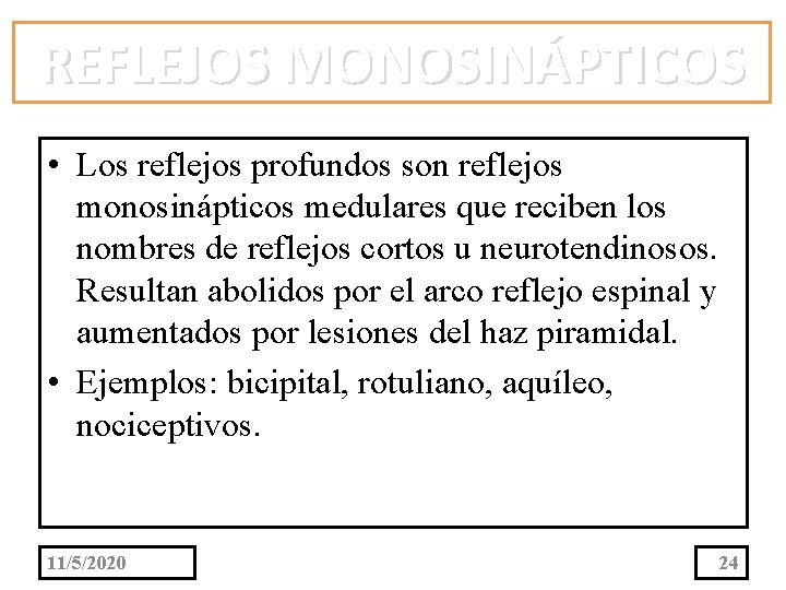 REFLEJOS MONOSINÁPTICOS • Los reflejos profundos son reflejos monosinápticos medulares que reciben los nombres