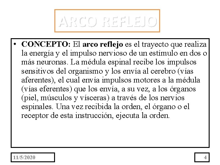 ARCO REFLEJO • CONCEPTO: El arco reflejo es el trayecto que realiza la energía