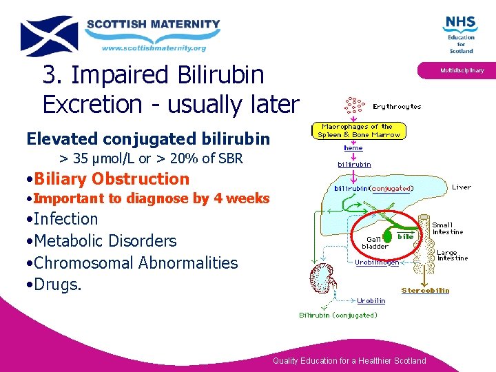 3. Impaired Bilirubin Excretion - usually later Elevated conjugated bilirubin o> 35 µmol/L or