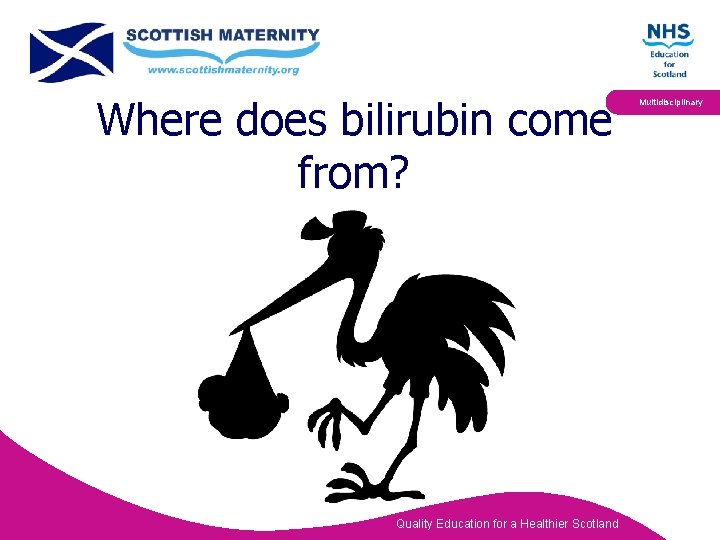 Where does bilirubin come from? Quality Education for a Healthier Scotland Multidisciplinary 