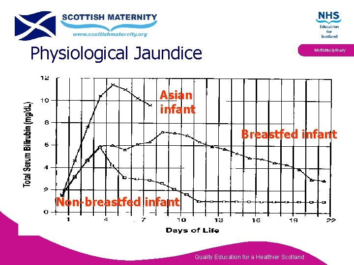 Physiological Jaundice Multidisciplinary Asian infant Breastfed infant Non-breastfed infant Quality Education for a Healthier