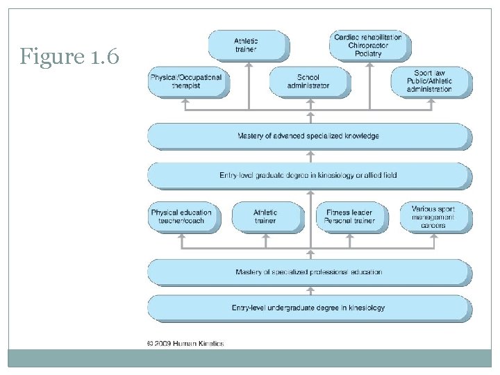 Figure 1. 6 