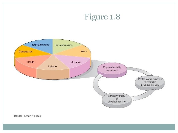 Figure 1. 8 