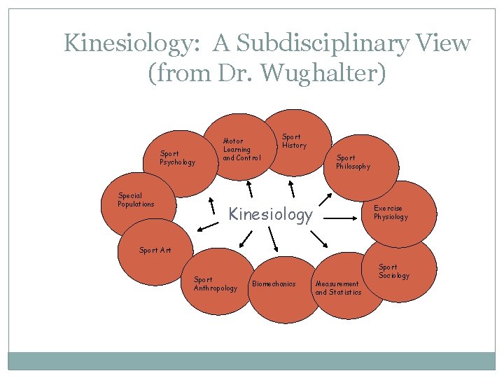 Kinesiology: A Subdisciplinary View (from Dr. Wughalter) Sport Psychology Special Populations Motor Learning and