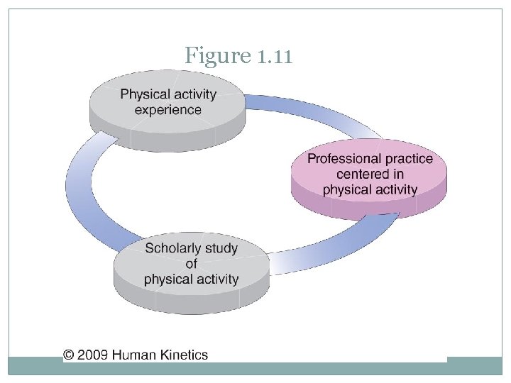 Figure 1. 11 