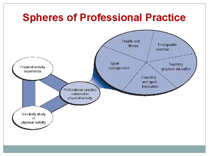 Spheres of Professional Practice Figure 1. 13 