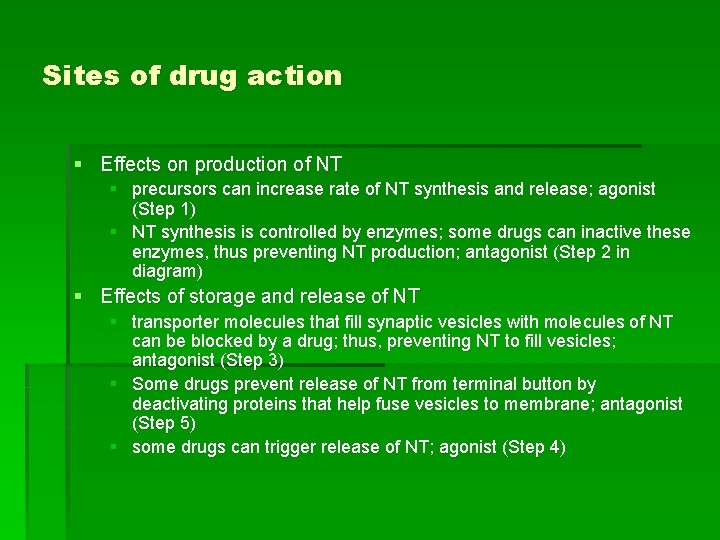 Sites of drug action § Effects on production of NT § precursors can increase