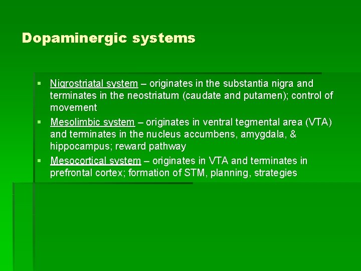 Dopaminergic systems § Nigrostriatal system – originates in the substantia nigra and terminates in