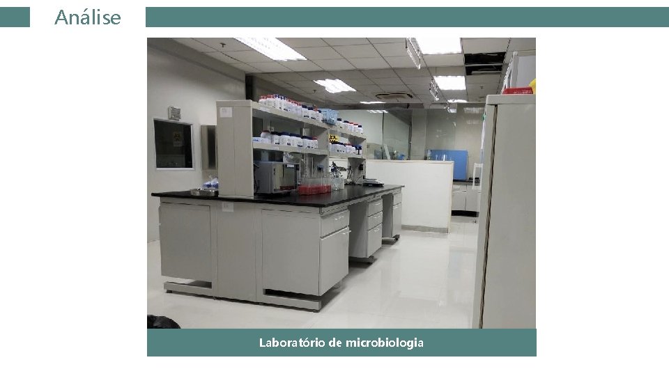 Análise Laboratório de microbiologia 