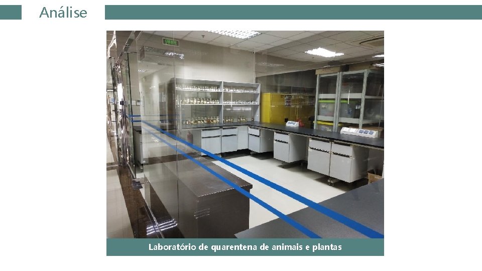 Análise Laboratório de quarentena de animais e plantas 