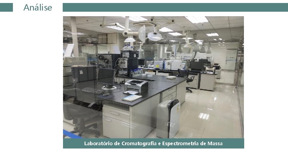 Análise Laboratório de Cromatografia e Espectrometria de Massa 