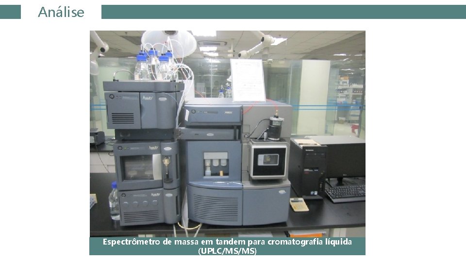 Análise Espectrômetro de massa em tandem para cromatografia líquida (UPLC/MS/MS) 