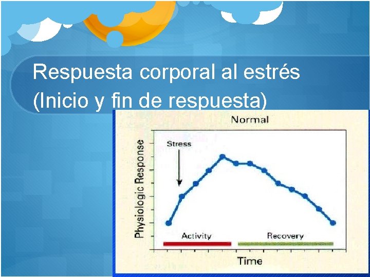 Respuesta corporal al estrés (Inicio y fin de respuesta) 