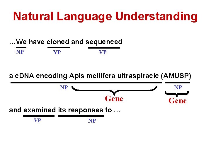 Natural Language Understanding …We have cloned and sequenced NP VP VP a c. DNA