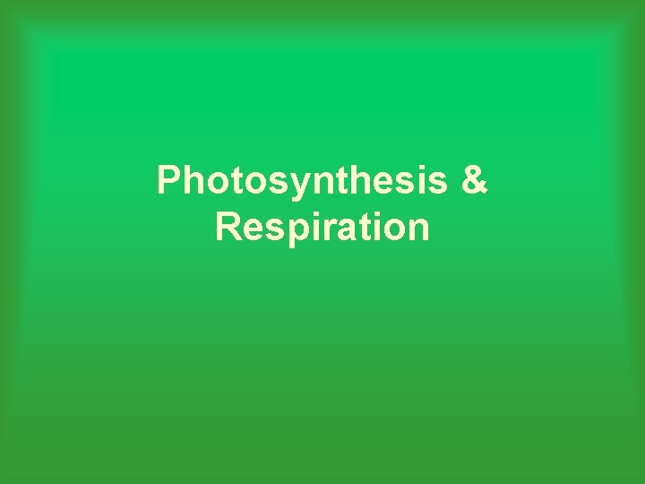 Photosynthesis & Respiration 