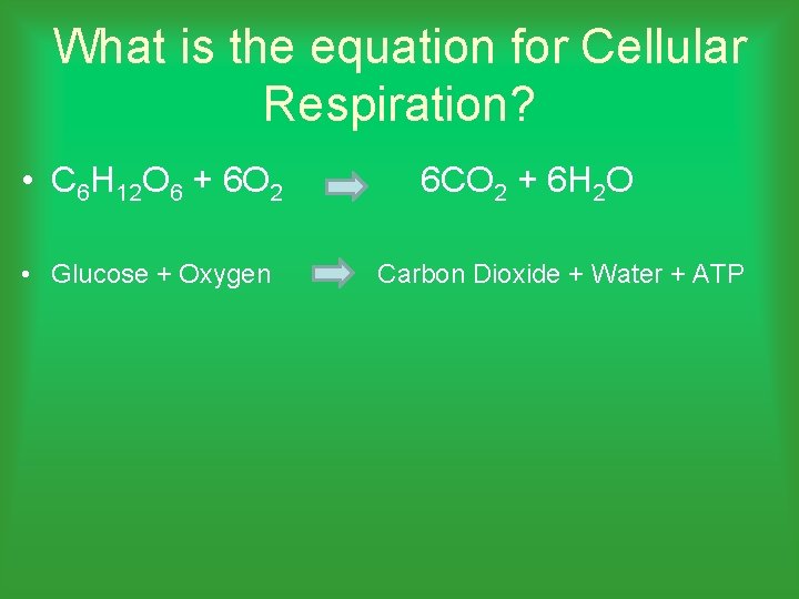 What is the equation for Cellular Respiration? • C 6 H 12 O 6