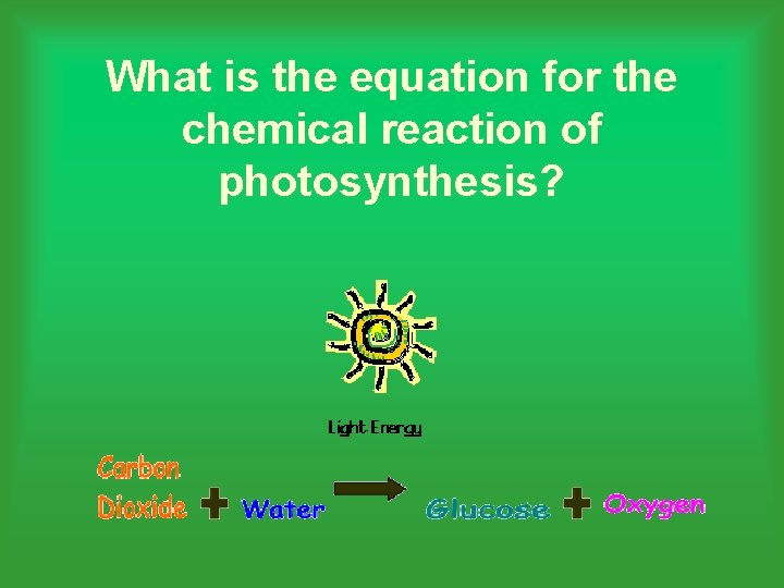 What is the equation for the chemical reaction of photosynthesis? 