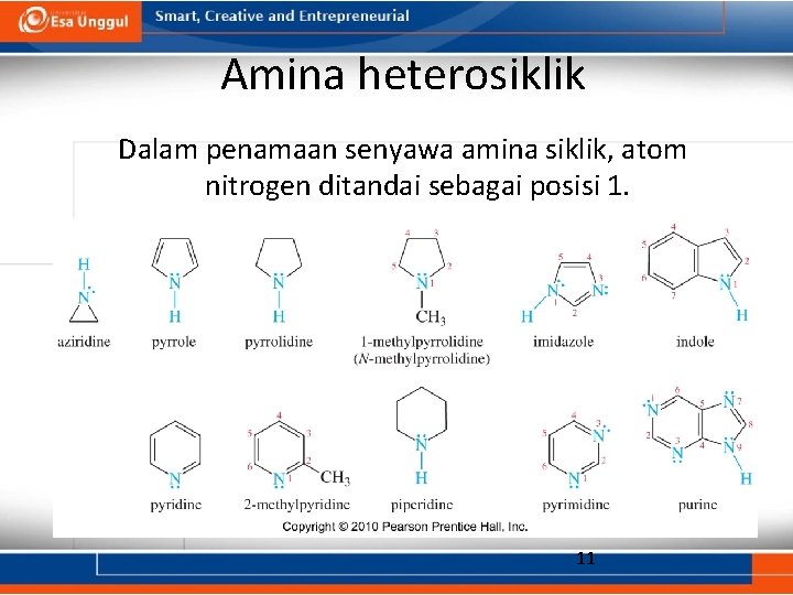 Amina heterosiklik Dalam penamaan senyawa amina siklik, atom nitrogen ditandai sebagai posisi 1. 11