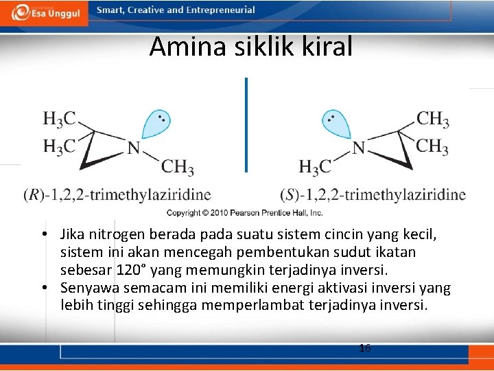 Amina siklik kiral • Jika nitrogen berada pada suatu sistem cincin yang kecil, sistem