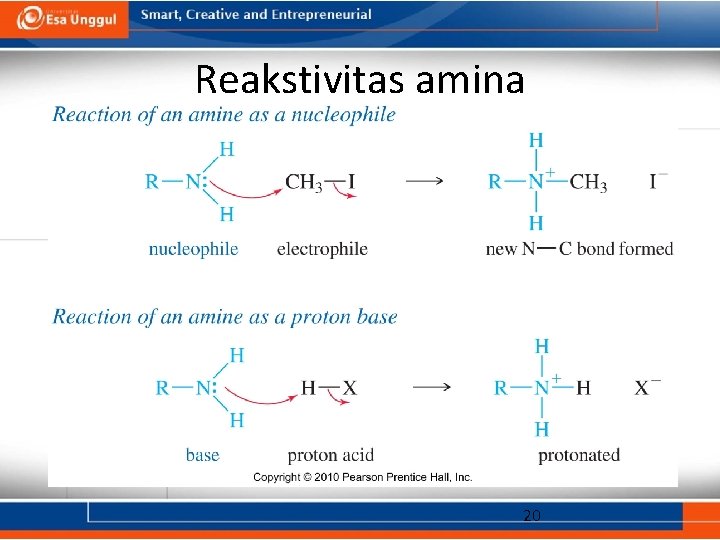 Reakstivitas amina 20 