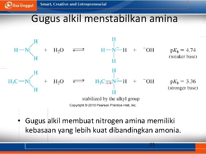 Gugus alkil menstabilkan amina • Gugus alkil membuat nitrogen amina memiliki kebasaan yang lebih