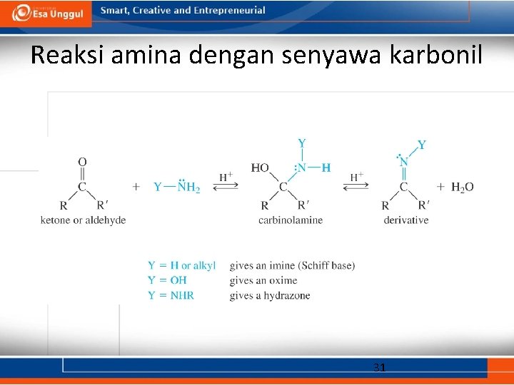 Reaksi amina dengan senyawa karbonil 31 