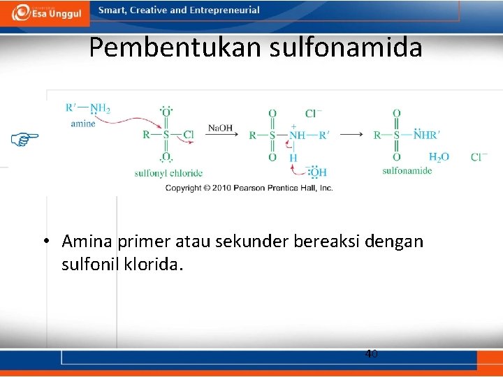 Pembentukan sulfonamida • Amina primer atau sekunder bereaksi dengan sulfonil klorida. 40 