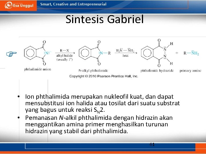 Sintesis Gabriel • Ion phthalimida merupakan nukleofil kuat, dan dapat mensubstitusi ion halida atau