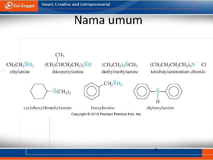 Nama umum 7 