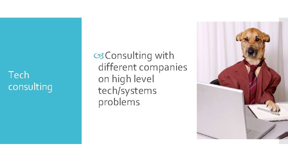 Tech consulting Consulting with different companies on high level tech/systems problems 