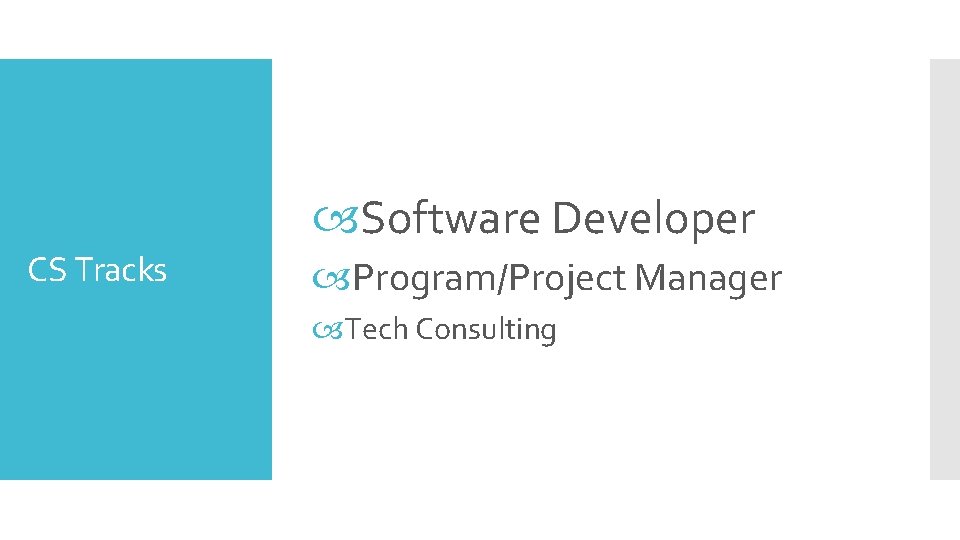  Software Developer CS Tracks Program/Project Manager Tech Consulting 