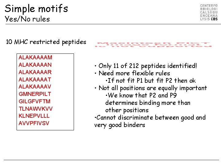 Simple motifs Yes/No rules 10 MHC restricted peptides ALAKAAAAM ALAKAAAAN ALAKAAAAR ALAKAAAAT ALAKAAAAV GMNERPILT