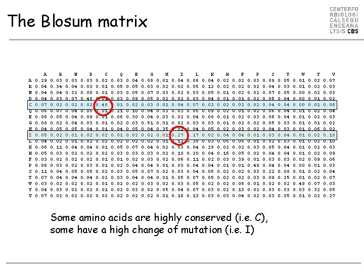 The Blosum matrix A R N D C Q E G H I L