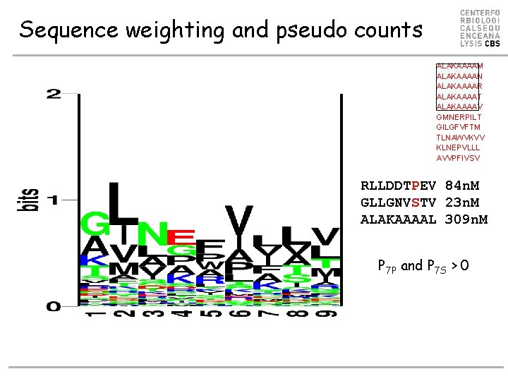 Sequence weighting and pseudo counts ALAKAAAAM ALAKAAAAN ALAKAAAAR ALAKAAAAT ALAKAAAAV GMNERPILT GILGFVFTM TLNAWVKVV KLNEPVLLL
