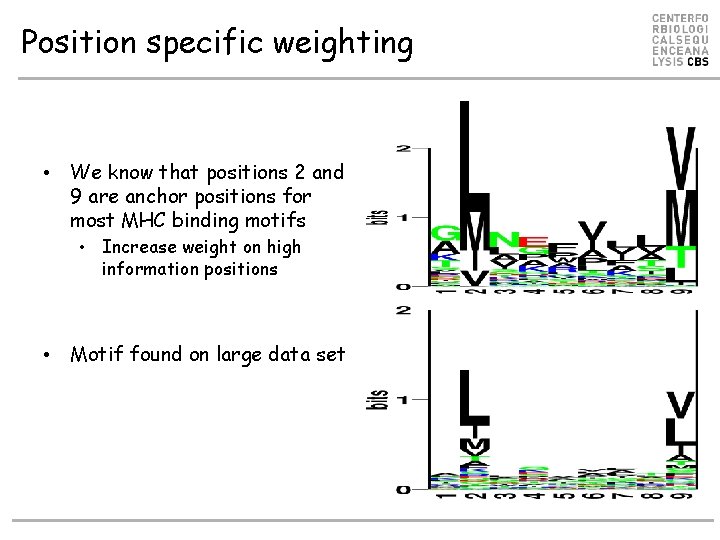 Position specific weighting • We know that positions 2 and 9 are anchor positions