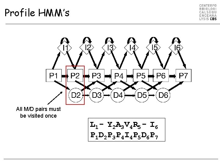 Profile HMM’s All M/D pairs must be visited once L 1 - Y 2