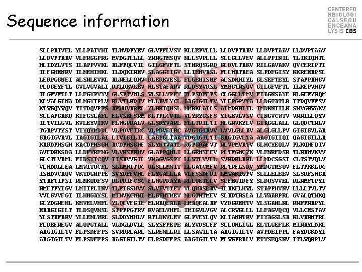 Sequence information SLLPAIVEL LLDVPTAAV HLIDYLVTS ILFGHENRV LERPGGNEI PLDGEYFTL ILGFVFTLT KLVALGINA KTWGQYWQV SLLAPGAKQ ILTVILGVL TGAPVTYST