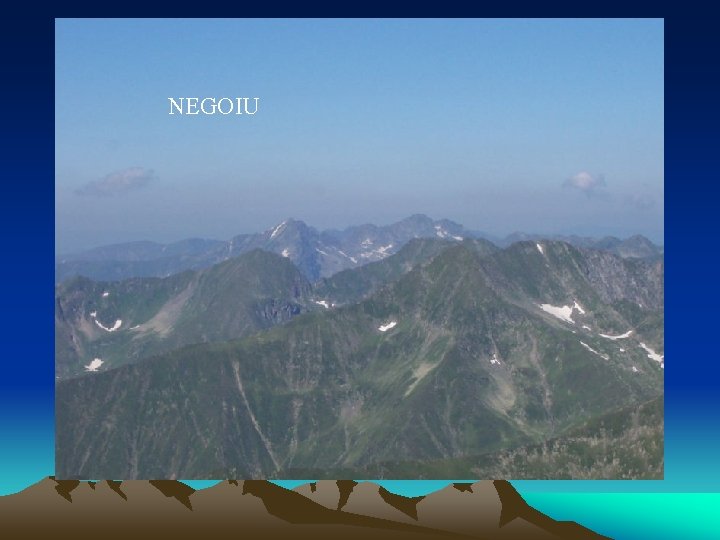 NEGOIU 