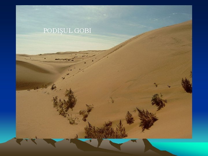 PODIŞUL GOBI 