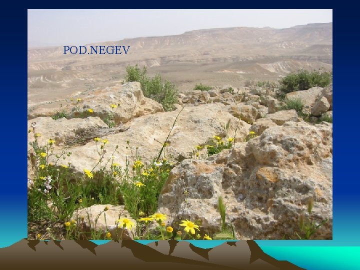 POD. NEGEV 