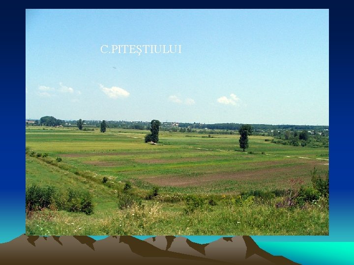 C. PITEŞTIULUI 