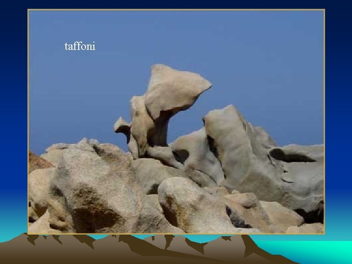 taffoni 