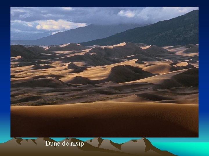Dune de nisip 
