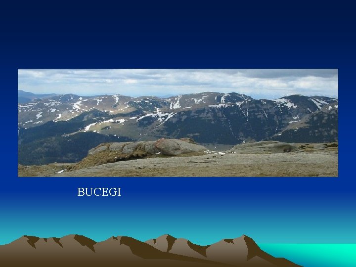 BUCEGI 